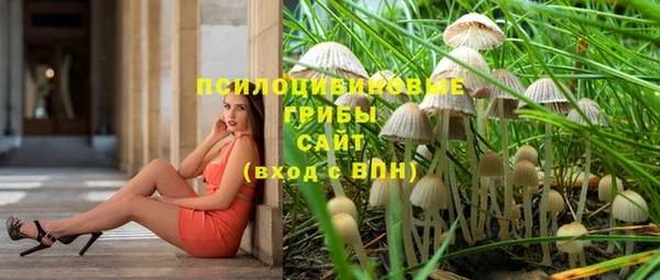 прущий лед Корсаков